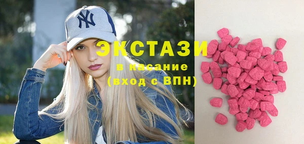 молекула духа Каменка