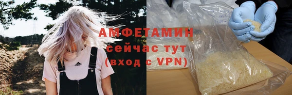 молекула духа Каменка