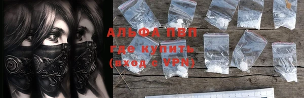 молекула духа Каменка
