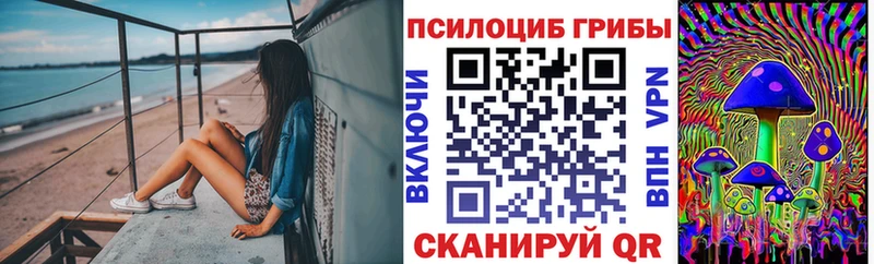 Галлюциногенные грибы Magic Shrooms Ессентуки